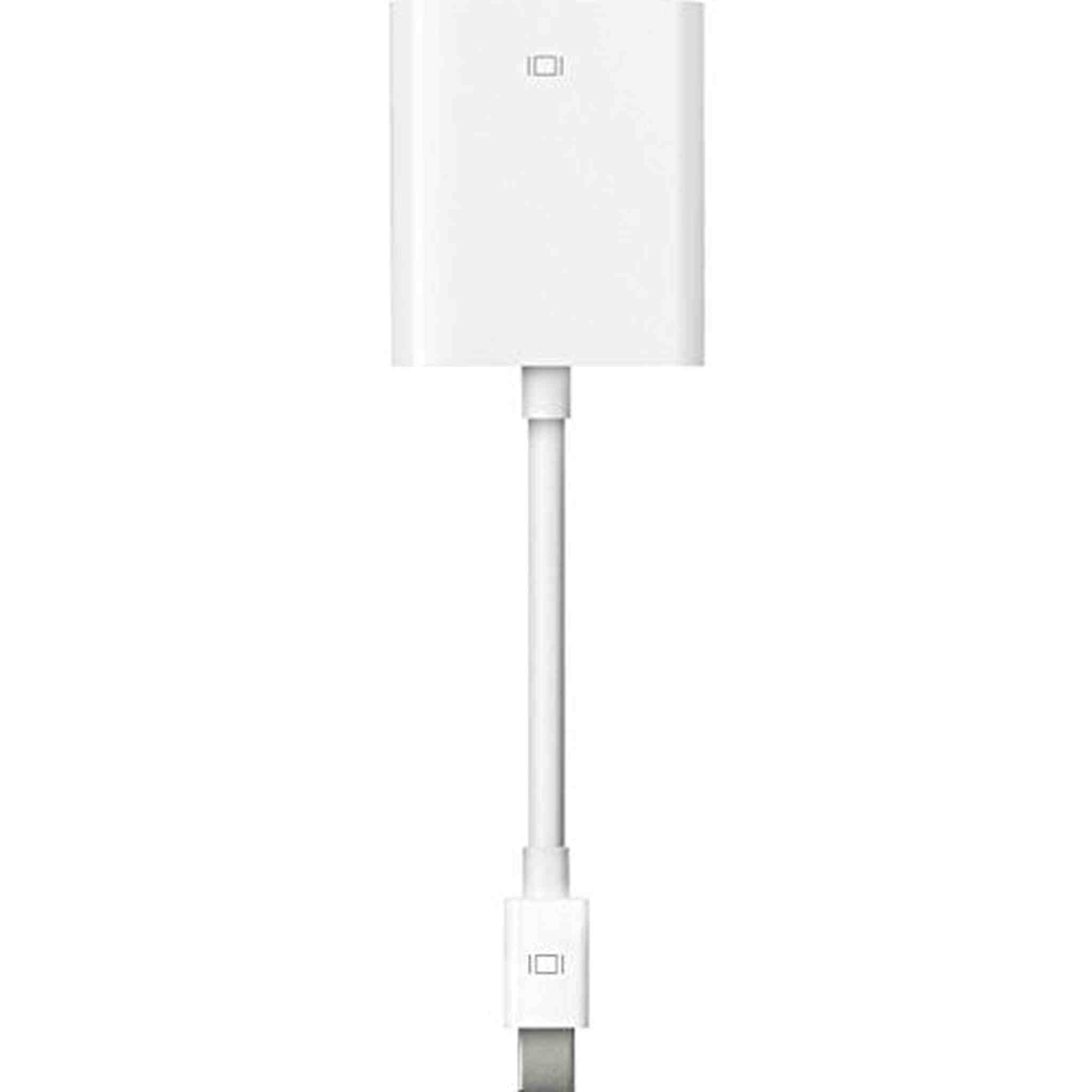 Apple Mini Display Port to DVI Adapter