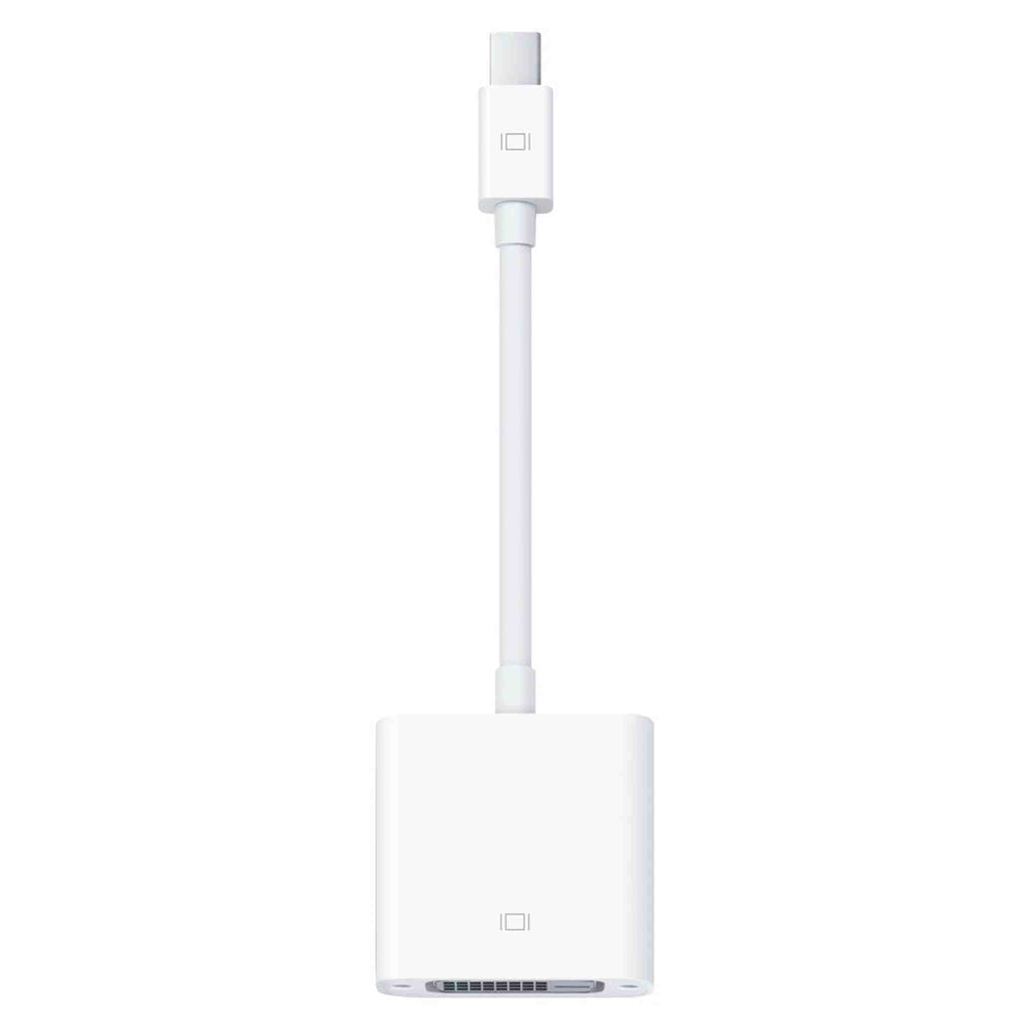 Apple Mini Display Port to DVI Adapter