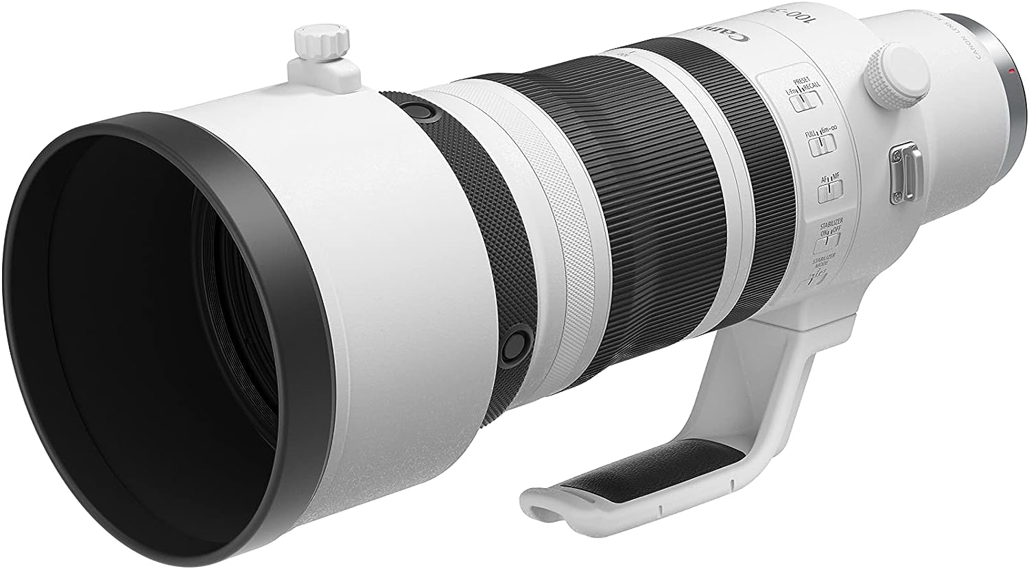 Canon RF100-300mm F2.8 L is USM Canon