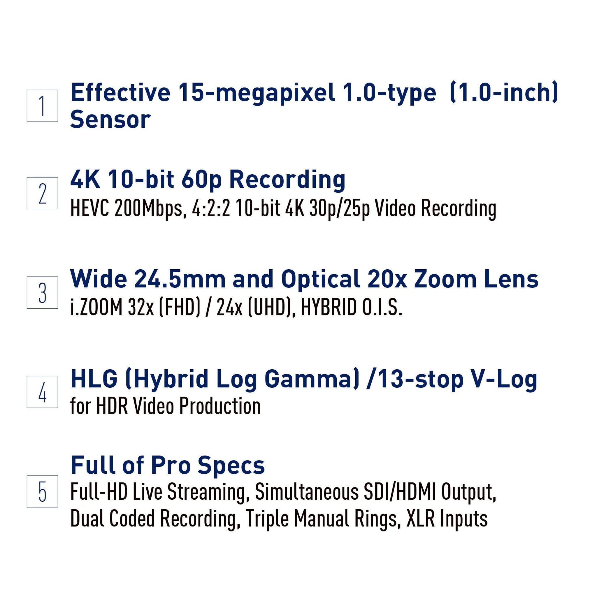 Professional Camcorder X2, 24.5mm Wide-Angle Lens, 13-stop V-Log Panasonic