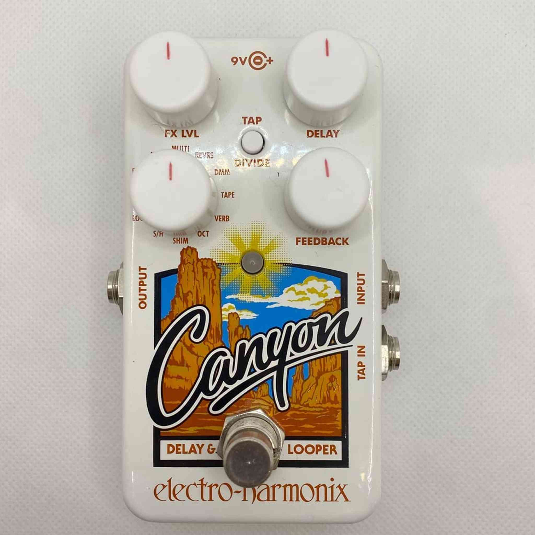 Electro-Harmonix Canyon Delay and Looper Pedal with 11 Individual Effects Electro-Harmonix