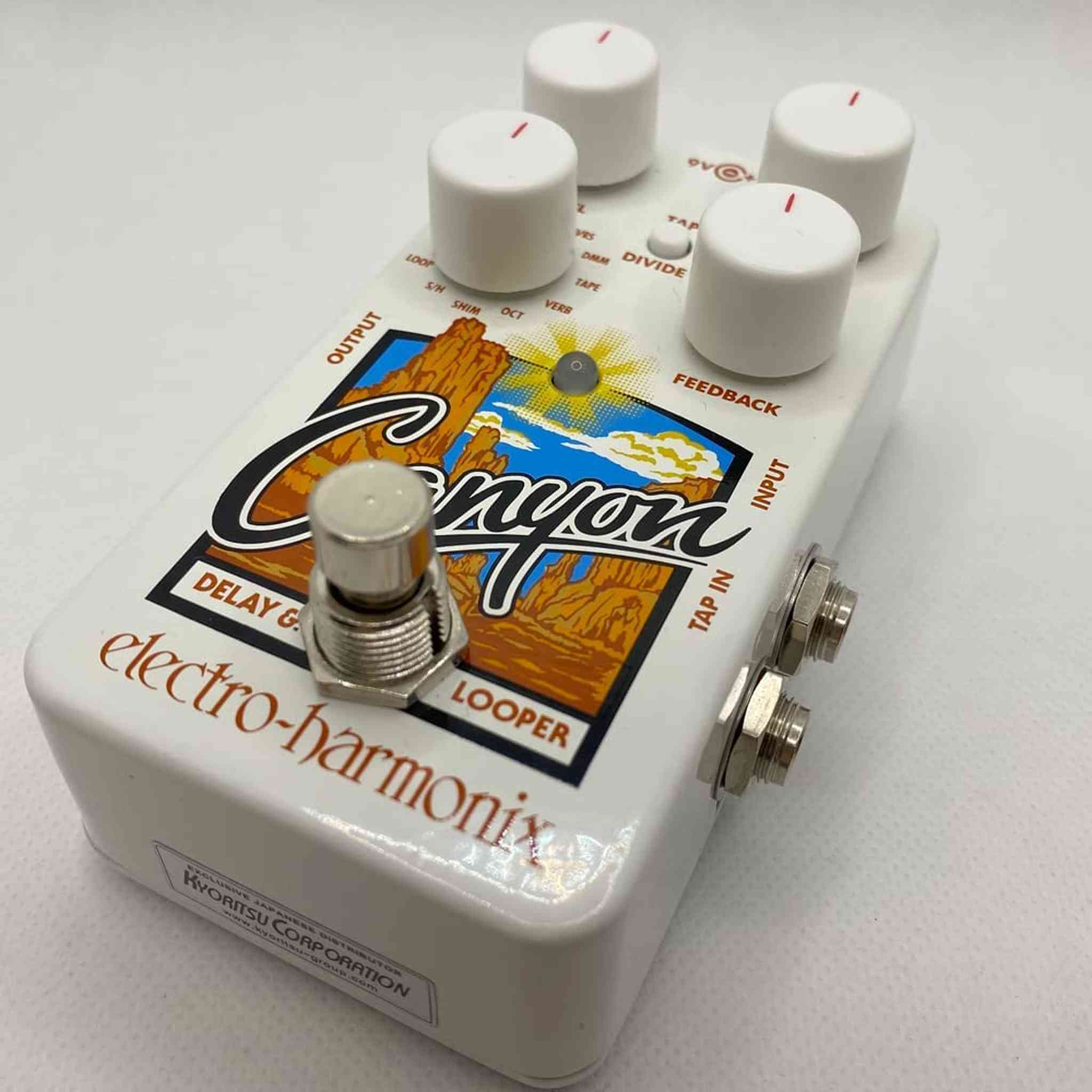 Electro-Harmonix Canyon Delay and Looper Pedal with 11 Individual Effects Electro-Harmonix