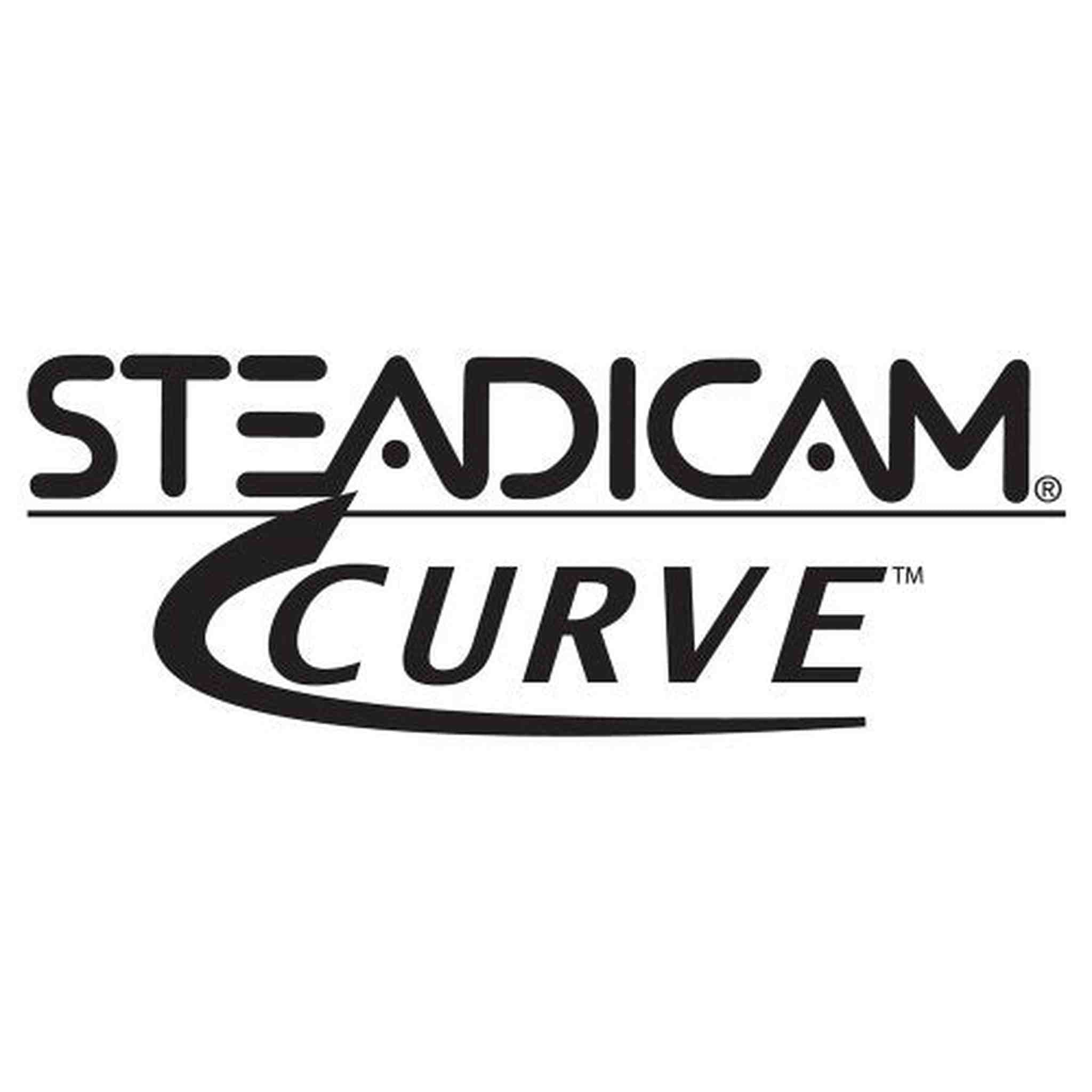 Steadicam CURVE-BK Handheld Video Stabilizer and grip for GoPro Hero Cameras 3, 4 Black & Hero 5 Blue SteadiCam